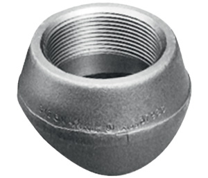 ASTM B366 904L Threadolet